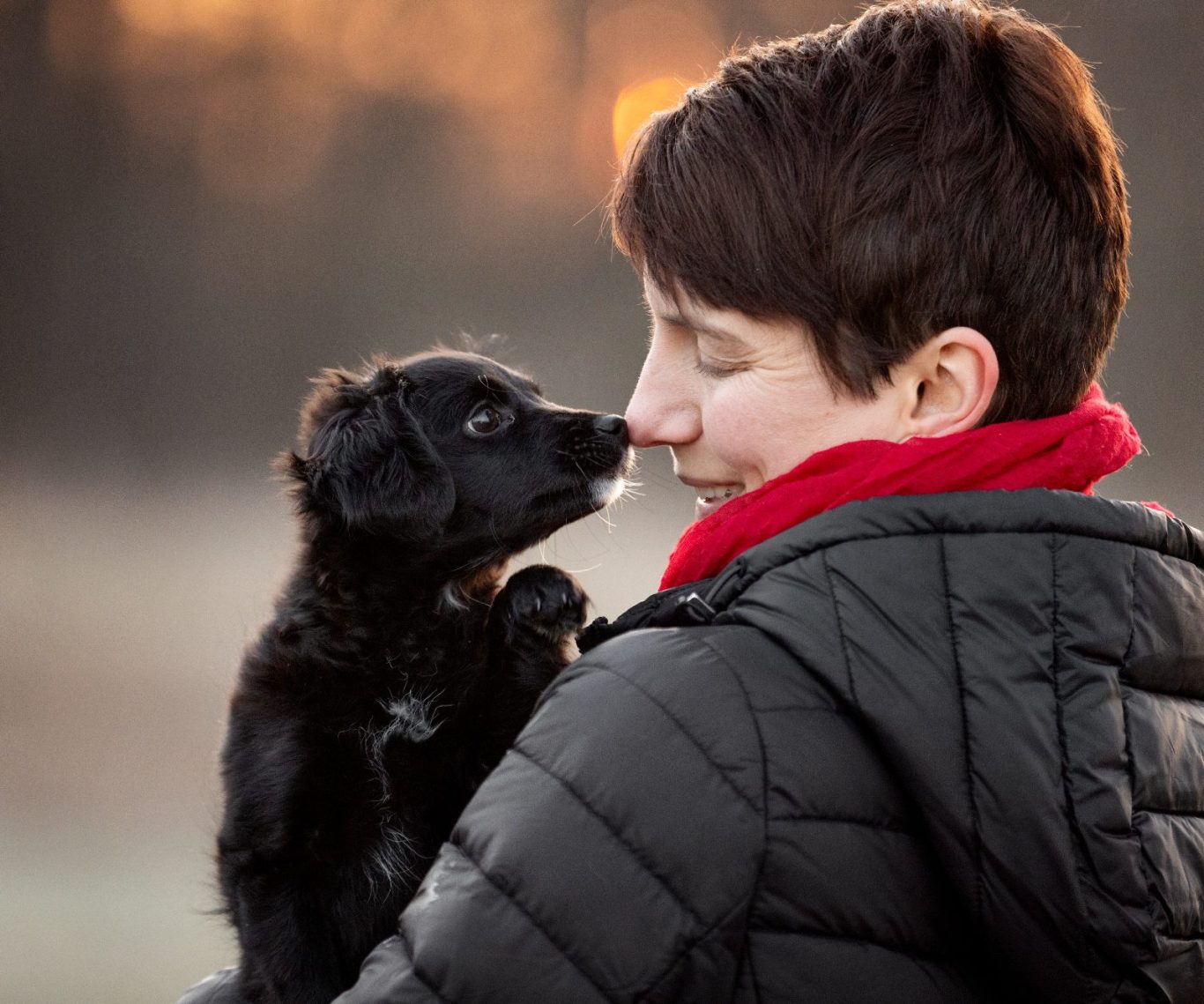 Vertrauenshunde - Training mit Freude Vertrauenshunde - Hundetraining mit Tatjana